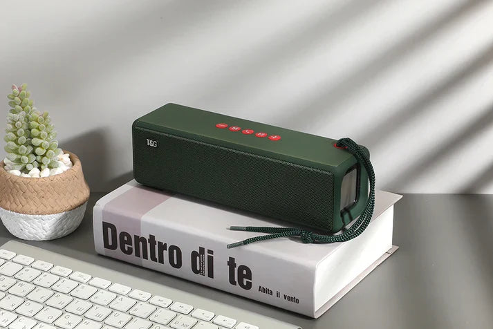 Evorina™ – Haut-Parleur Vibratoire Premium