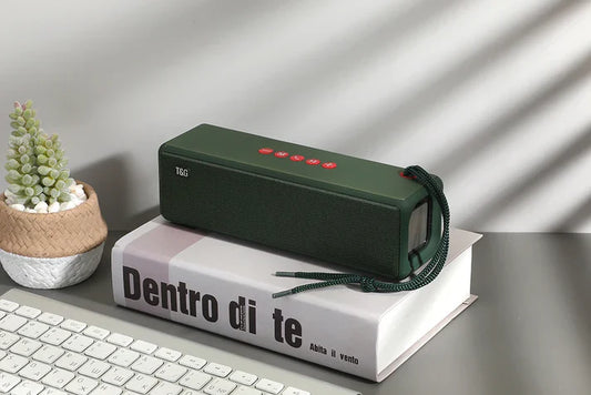 Evorina™ – Haut-Parleur Vibratoire Premium